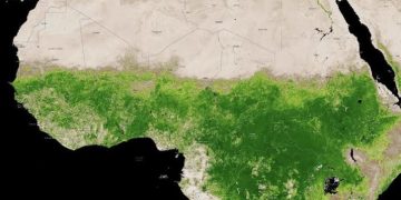 Gurun Sahara Menghijau di Saat Bumi Memanas, Kenapa?