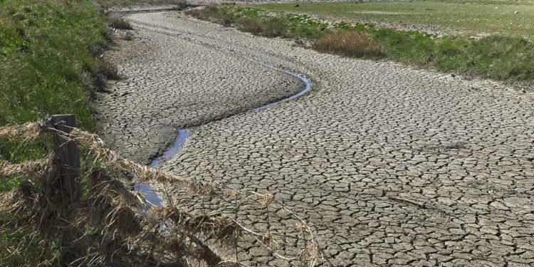 Tujuh Desa Krisis Air, Bencana Kekeringan di Jepara Masih Berstatus Siaga Darurat
