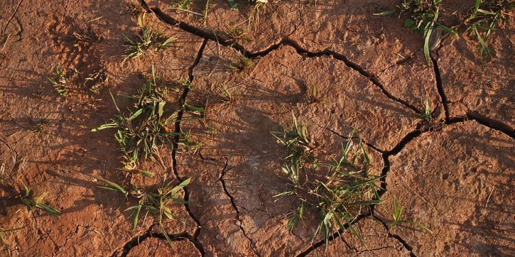 Beberapa Sumber Air Mulai Kering, BPBD Jepara Jadwalkan Dropping