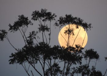 Supermoon 18 September, BMKG Peringatkan Banjir Rob di Wilayah RI
