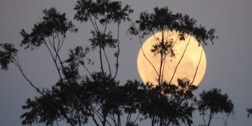 Supermoon 18 September, BMKG Peringatkan Banjir Rob di Wilayah RI