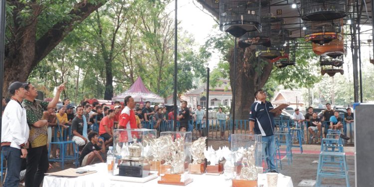 Promosi Wisata Lewat Kicauan Burung: Mas Wiwit Siapkan Lomba Bupati Cup Jepara