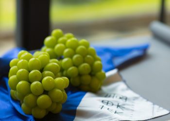 Geger Anggur Shine Muscat, Badan Pengawas Makanan Temukan Kandungan Puluhan Zat Berbahaya