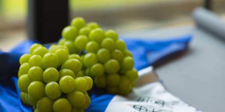 Geger Anggur Shine Muscat, Badan Pengawas Makanan Temukan Kandungan Puluhan Zat Berbahaya