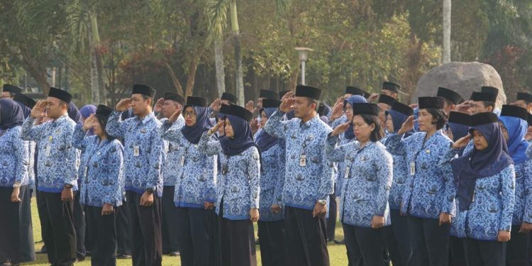 Pemkab Magelang Buka 575 Formasi Seleksi PPPK, Cek Jadwal dan Syaratnya