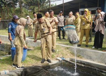 Persiapkan Hari Ikan Nasional, Dispeterikan Magelang Panen dan Tebar Ikan Beong
