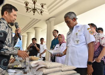Bangun Pertanian Organik, Pemprov Jateng Dorong Petani Produksi Beras Rendah Karbon