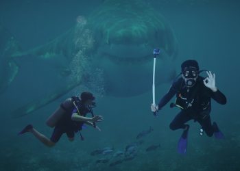 Dinyatakan Hilang Saat Diving di Maluku, Potongan Tubuh Turis AS Ditemukan di Perut Hiu