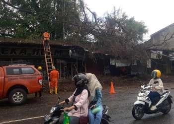 Wilayah Jepara Segera Masuki Musim Penghujan, BPBD Ingatkan Pemdes Kondisikan Titik Rawan Bencana