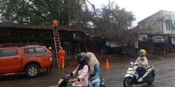 Wilayah Jepara Segera Masuki Musim Penghujan, BPBD Ingatkan Pemdes Kondisikan Titik Rawan Bencana