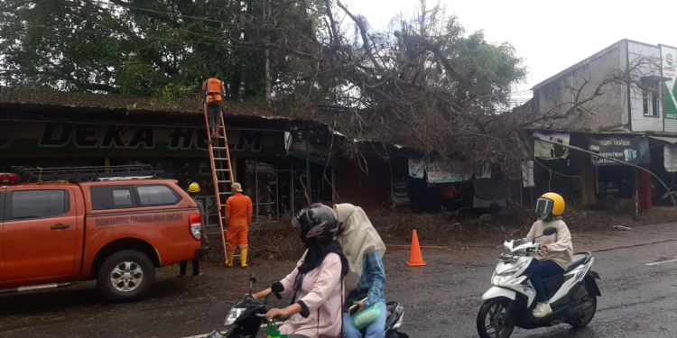 Wilayah Jepara Segera Masuki Musim Penghujan, BPBD Ingatkan Pemdes Kondisikan Titik Rawan Bencana