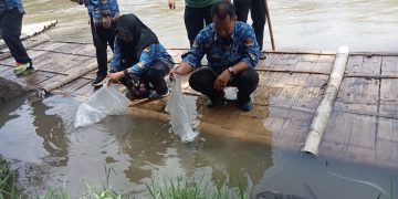 Jaga Kelestarian Ekosistem SDA, Dispeterikan Magelang Sebar 6.300 Bibit Ikan di Sungai Progo