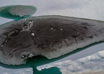 NASA Temukan Kota yang “Hilang” di Bawah Lapisan Es Greenland