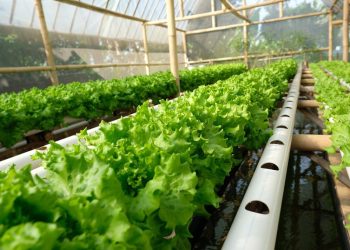 Tingkat Pengangguran Terbuka di Kabupaten Temanggung Terendah se-Jateng