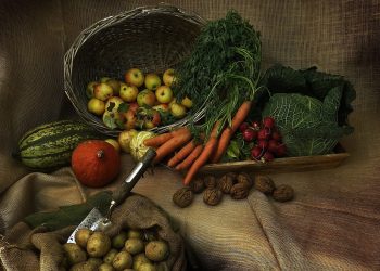 10 Jenis Makanan yang Bisa Bikin Kulit Awet Muda