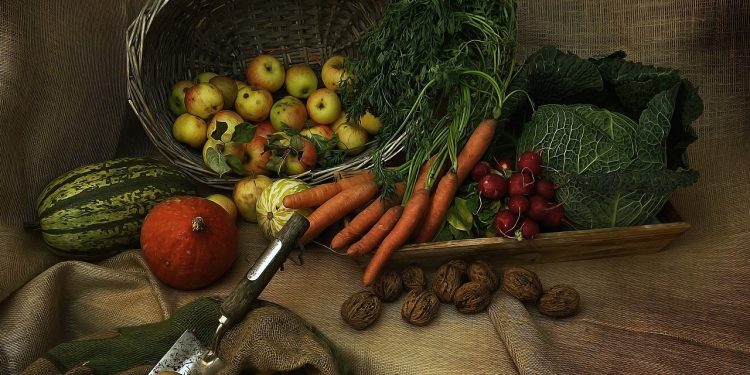 10 Jenis Makanan yang Bisa Bikin Kulit Awet Muda