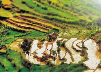 Semakin Mendunia, Dua Desa di Indonesia Jadi Desa Wisata Terbaik Dunia 2024