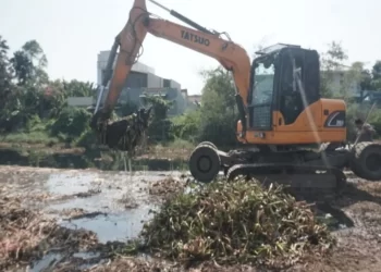 Cegah Banjir Musim Hujan, Pemkot Pekalongan Kebut Bersihkan Limbah Eceng Gondok Sungai Lodji