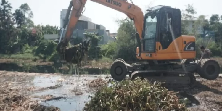 Cegah Banjir Musim Hujan, Pemkot Pekalongan Kebut Bersihkan Limbah Eceng Gondok Sungai Lodji