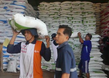 Pemkab Temanggung Berhasil Alokasikan Pupuk Subsidi hingga 50 Persen Penyerapan