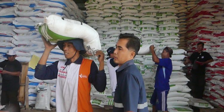 Pemkab Temanggung Berhasil Alokasikan Pupuk Subsidi hingga 50 Persen Penyerapan