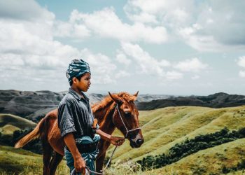 Bukti Sumba Jadi ‘Dunia’ yang Hilang; Dihuni Hewan-hewan yang Sudah Punah