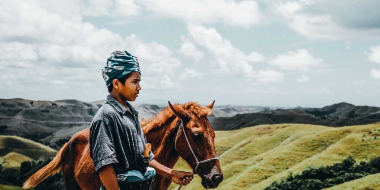 Bukti Sumba Jadi ‘Dunia’ yang Hilang; Dihuni Hewan-hewan yang Sudah Punah