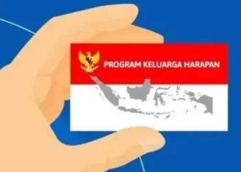 Bansos PKH Siap Cair Desember 2024, Begini Cara Cek melalui Online