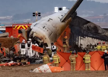 Hanya Dua Orang yang Selamat, Kecelakaan Pesawat Jeju Air Tewaskan 179 Penumpang