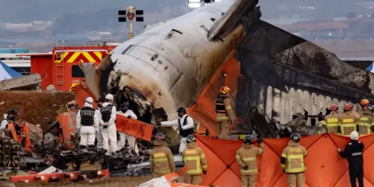 Hanya Dua Orang yang Selamat, Kecelakaan Pesawat Jeju Air Tewaskan 179 Penumpang