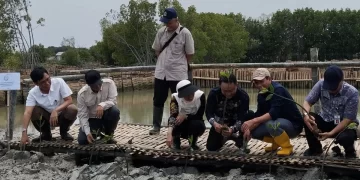 Hadapi Perubahan Iklim Ekstrem, Kementrian LH Akan Bangun 800 Ha Areal Magnroove di Demak