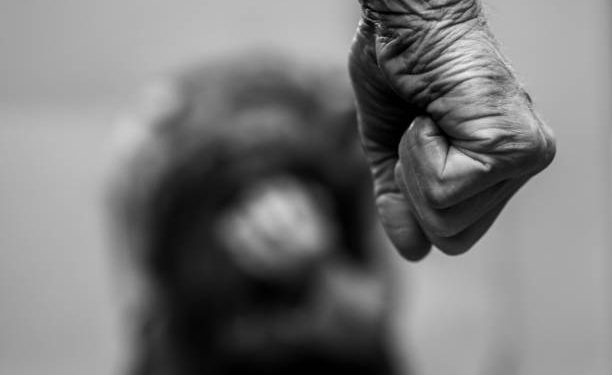 Dituduh Curi HP Teman, Santri di Ponpes Boyolali Dibakar Pakai Bensin