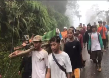 Korban Longsor Petungkriono Pekalongan Terus Bertambah, 20 Orang Teridentifikasi Meninggal Dunia