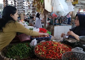 Masuk Awal Tahun, Harga Cabai di Pasar Batang Kian Melangit