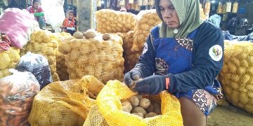 Produktifitas Tinggi, Harga Kentang di Kabupaten Magelang Terpantau Naik