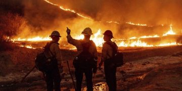 Studi Baru Krisis Iklim, Kebakaran Los Angeles secara Kebetulan Jadi Contoh Nyata