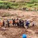 Pencarian Masih Dilakukan, Korban Tewas Longsor Pekalongan Bertambah Jadi 22 Orang