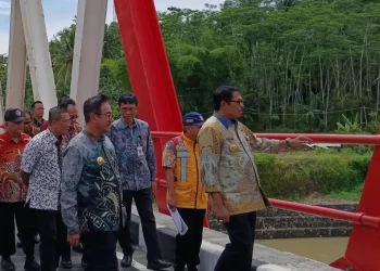Penyebaran PMK di Jateng; 2.300 Sapi Sudah Terindikasi