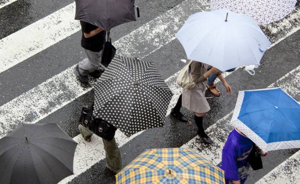 BMKG Ungkap Alasan Mundurnya Puncak Musim Hujan di Sejumlah Daerah