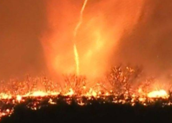 Mengenal Tornado Api Firenado yang Muncul di Tengah Kebakaran Los Angeles