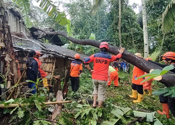 Cuaca Ekstrem Masih Mengintai, BPBD Temanggung Minta Masyarakat Tetap Waspada