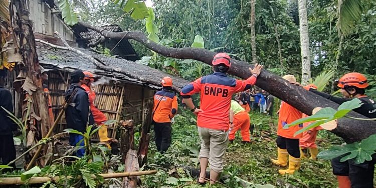 Cuaca Ekstrem Masih Mengintai, BPBD Temanggung Minta Masyarakat Tetap Waspada