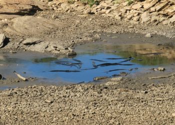 Sebagian Wilayah RI Masuki Musim Kemarau, Akankah El-Nino Datang Lagi?