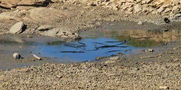 Sebagian Wilayah RI Masuki Musim Kemarau, Akankah El-Nino Datang Lagi?