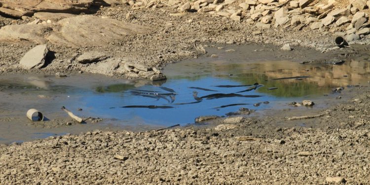 Sebagian Wilayah RI Masuki Musim Kemarau, Akankah El-Nino Datang Lagi?