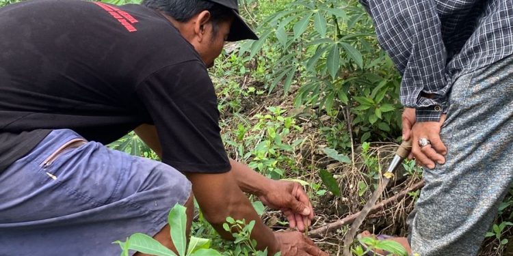 Warga Sumberrejo Gelar Tilik Sumber, Satukan Budaya dan Perlawanan Tolak Tambang Gunung Mrico