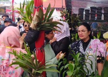 Pameran Tanaman Hias di Kota Semarang Sajikan Ragam Aglonema hingga Bonsai Eksotis