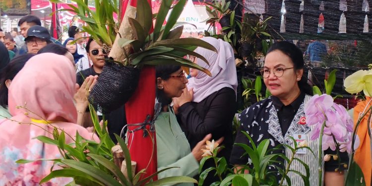 Pameran Tanaman Hias di Kota Semarang Sajikan Ragam Aglonema hingga Bonsai Eksotis