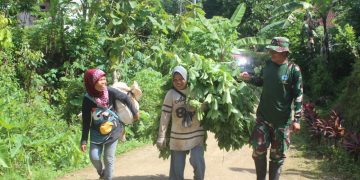 Membangun dengan Hati, Kodim Kebumen Tegaskan Satgas TMMD Peduli Kehidupan Masyarakat