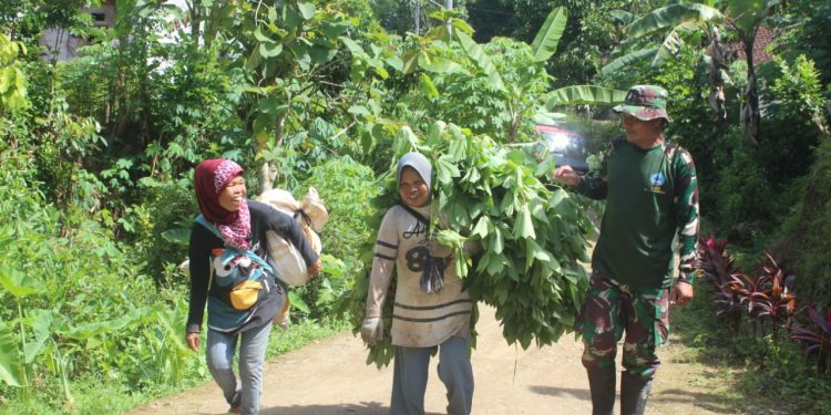 Membangun dengan Hati, Kodim Kebumen Tegaskan Satgas TMMD Peduli Kehidupan Masyarakat